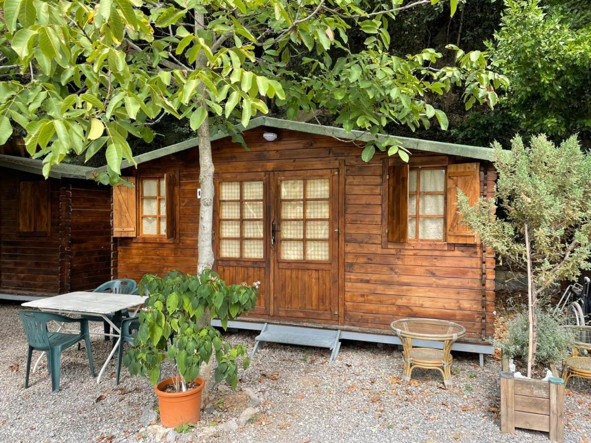 Hotel Agricamping Le Terrazze Orco Feglino Zewnętrze zdjęcie